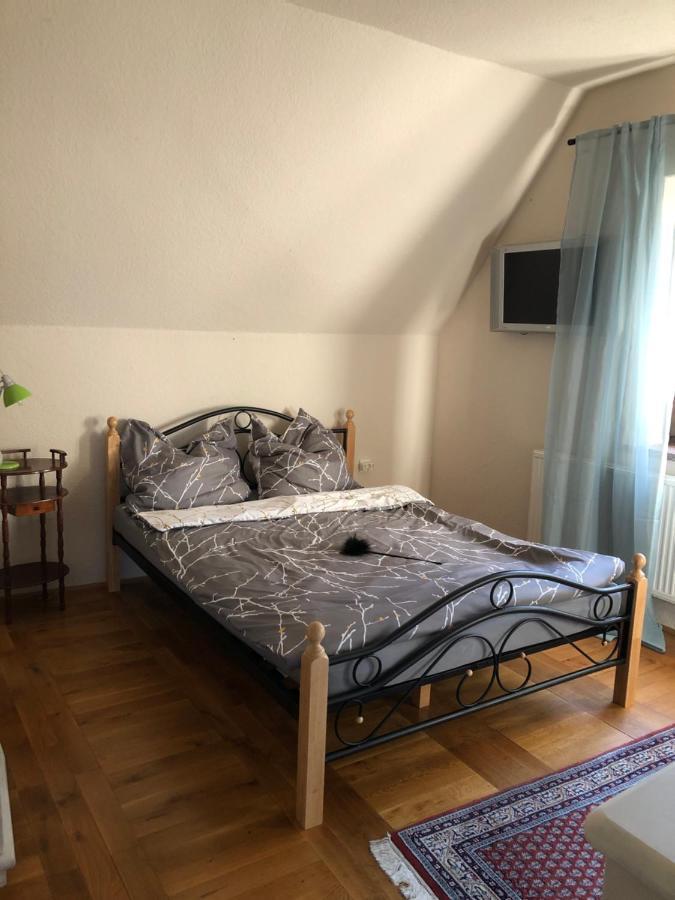 Ferienhaus Mit Pool Zum Traeumen Und Entspannen Fuer Alle Sinne Бад-Шмідеберг Екстер'єр фото